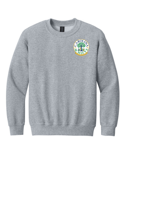 Youth Crewneck