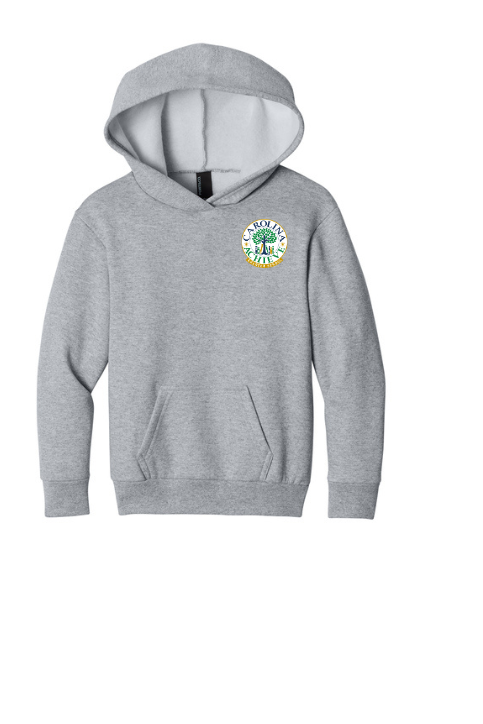 Youth Hoodie